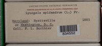 Image Associated With the Occurence